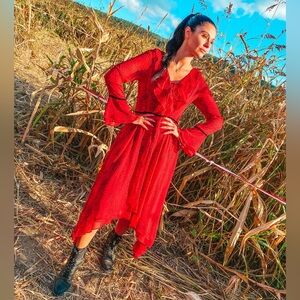NEVER WORN! Shani red leopard chiffon dress!